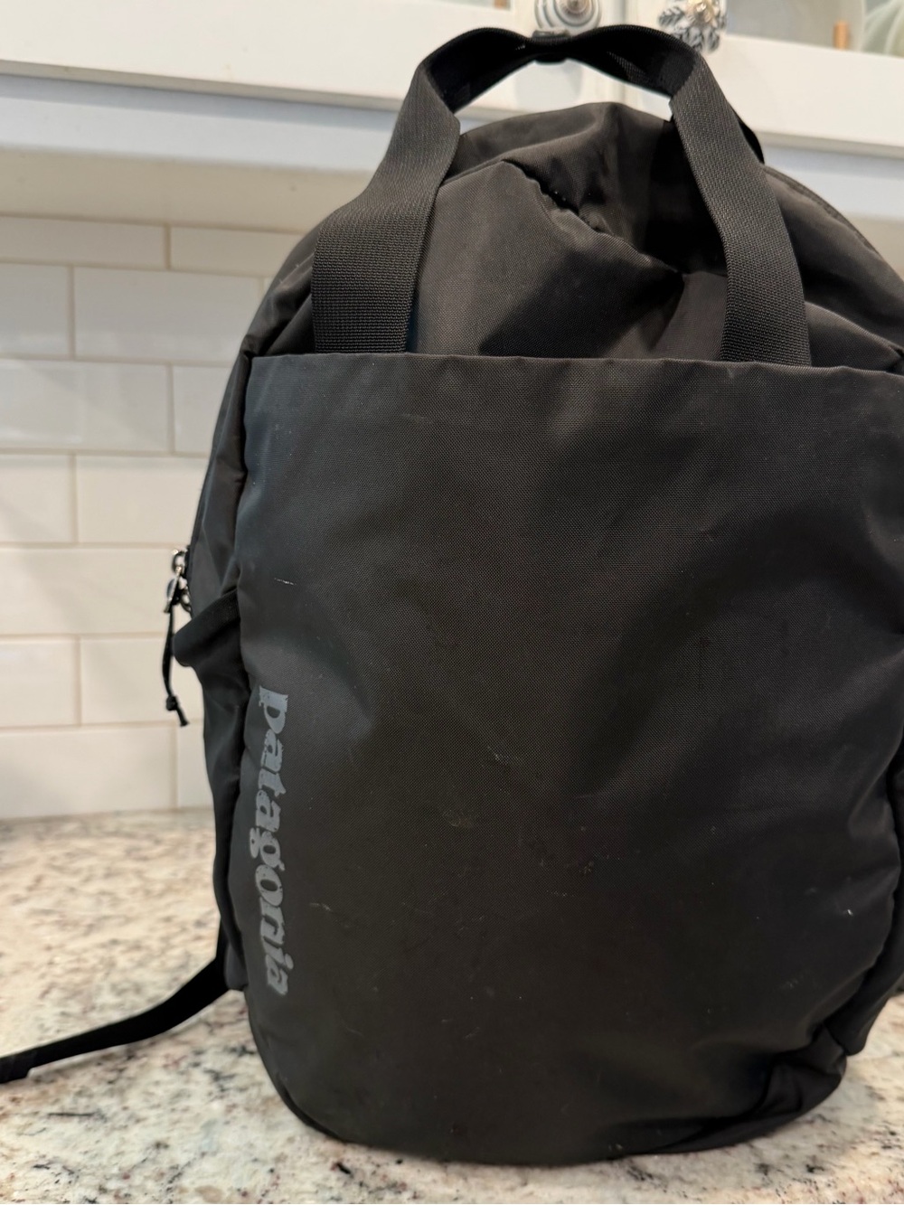 Patagonia Black Backpack with Subtle Logo